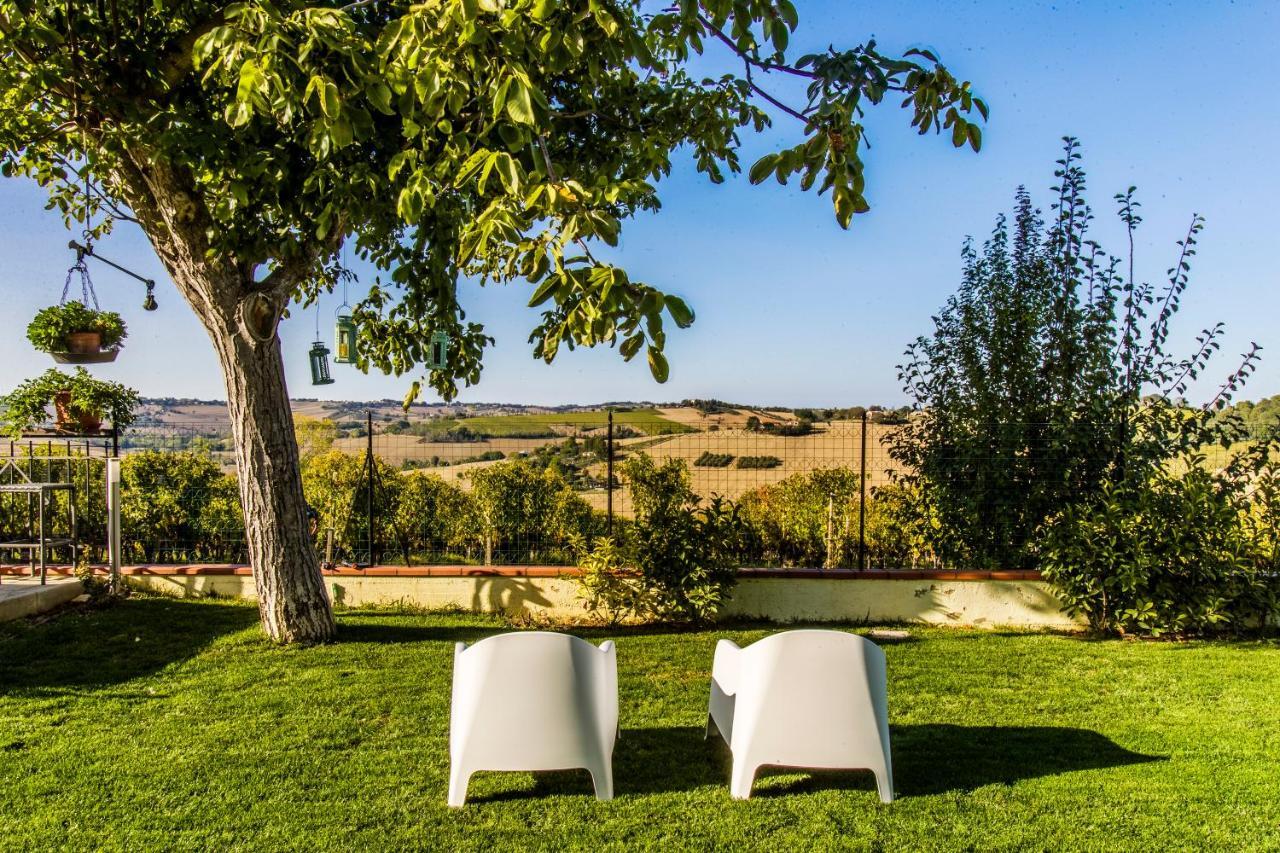 B&B Al Chicco D'Uva Morro d'Alba Bagian luar foto