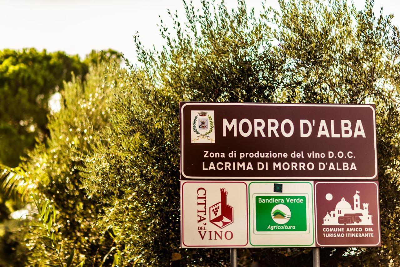 B&B Al Chicco D'Uva Morro d'Alba Bagian luar foto