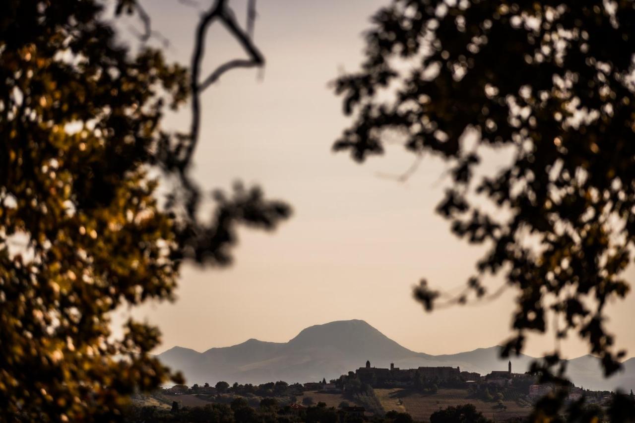 B&B Al Chicco D'Uva Morro d'Alba Bagian luar foto