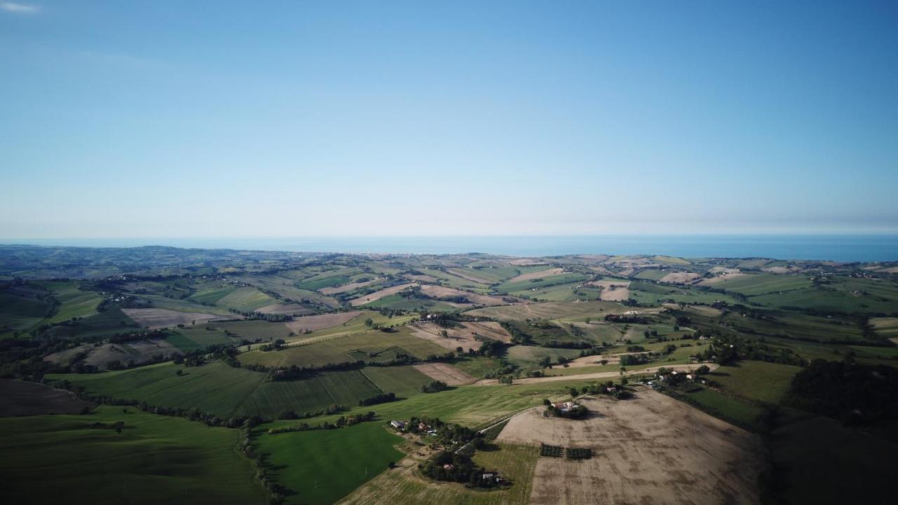 B&B Al Chicco D'Uva Morro d'Alba Bagian luar foto