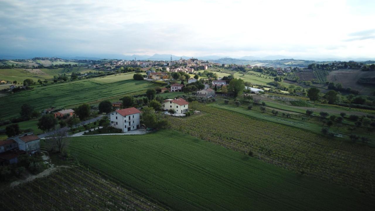 B&B Al Chicco D'Uva Morro d'Alba Bagian luar foto